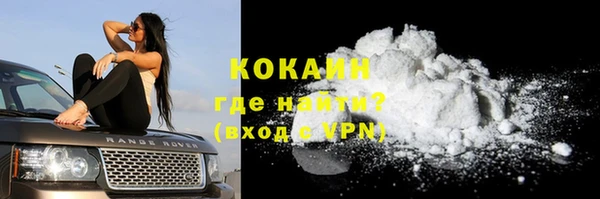 шишки Пестово