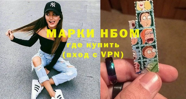 шишки Пестово