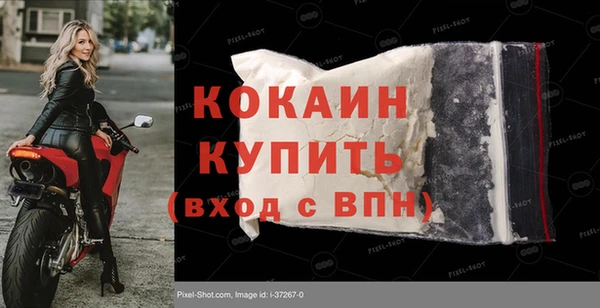 шишки Пестово