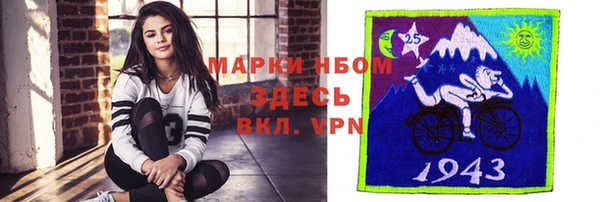 шишки Пестово