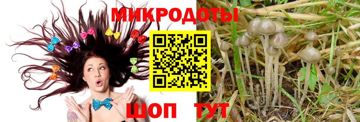 Галлюциногенные грибы мухоморы  Псилоцибиновые грибы Cubensis  Вход с VPN  Сердобск 